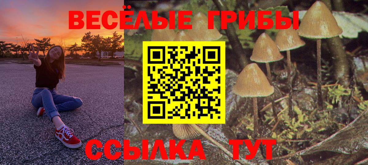 Псилоцибиновые грибы Psilocybe Шебекино