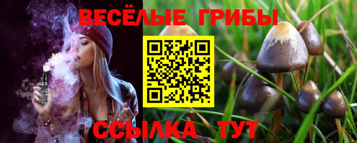 Шебекино  Псилоцибиновые грибы Psilocybine cubensis  Галлюциногенные грибы Psilocybe  Вход с VPN 